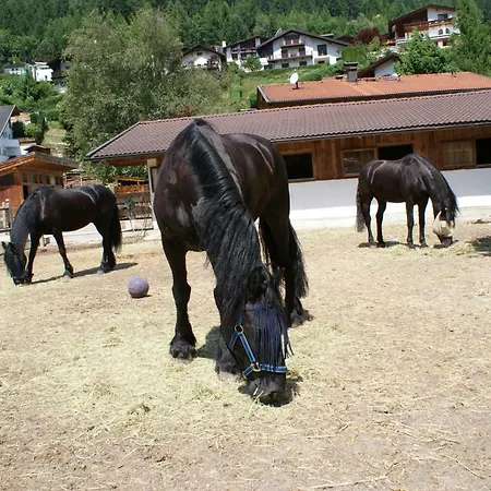 Farma Singerhof Fulpmes