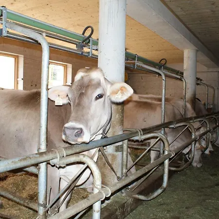 Singerhof Agroturismo Fulpmes