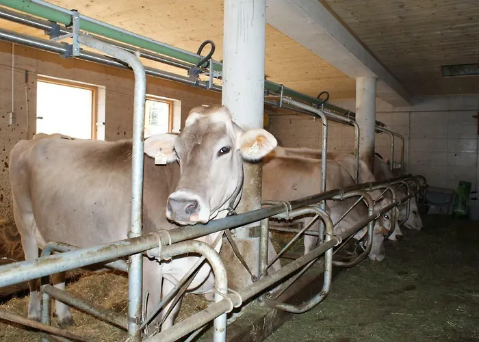 Singerhof Agroturismo Fulpmes